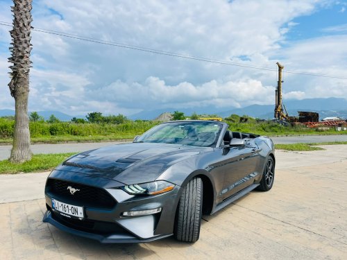 Ford  Mustang 1