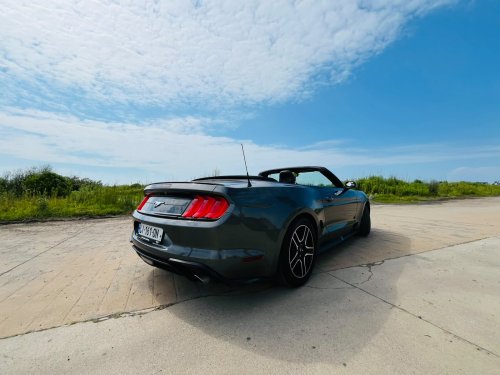 Ford  Mustang 2